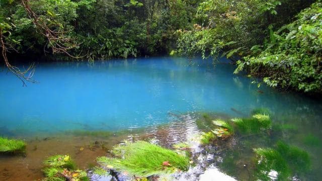 Z La Fortuna: Celodenní prohlídka Rio Celeste - Photo 3 (Gallery view)