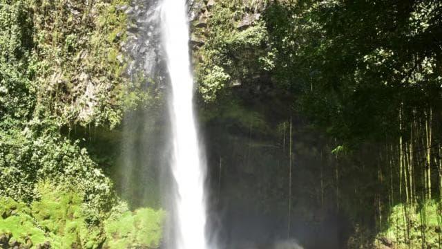 拉福图纳瀑布：阿雷纳尔火山和吊桥 - Photo 5 (Gallery view)
