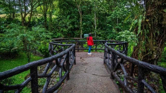 La Fortuna: Místico Arenal Hanging Bridges Admission Ticket - Photo 2 (Gallery view)
