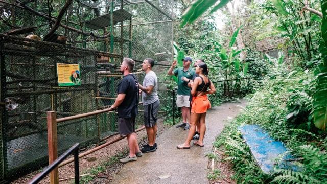 Manuel Antonio: Volunteer for a Day at a Wildlife Sanctuary - Photo 4 (Gallery view)