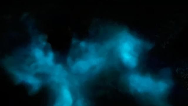La Parguera: Bioluminescent Bay Boat Tour - Photo 4 (Gallery view)