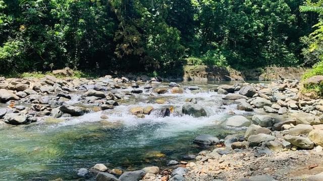 Concrete Jungle to the Actual Jungle, Complete Package Tour - Photo 4 (Gallery view)
