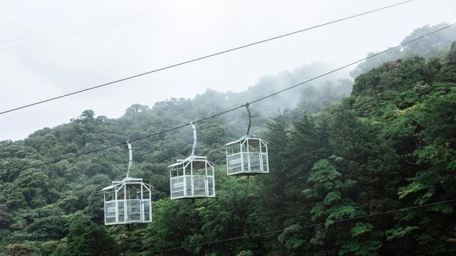 Monteverde: TreeTram Cableway and Cloud Forest Hiking Trail - Photo 5 (Gallery view)
