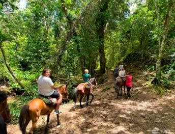 Punta Cana: Samana safari between waterfalls and beaches - Photo 4 (Gallery view)