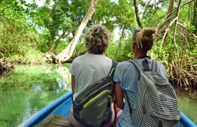Los Haitises: Caves, Mangroves, & Rainforest Hike/Boat Tour - Dominican Republic