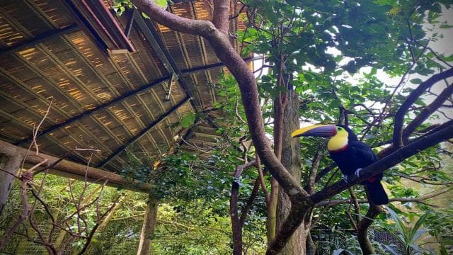 La Paz Waterfall Gardens Day Pass Ticket - Photo 2 (Gallery view)