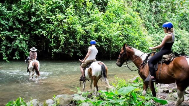 La Fortuna: Rehberli Binicilik Deneyimi ve Turu - Photo 2 (Gallery view)