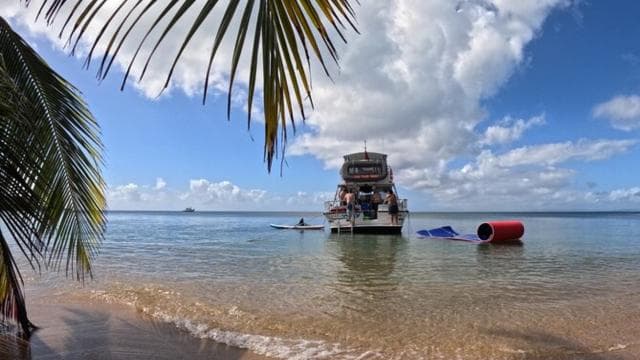 Vieque: tur cu snorkel și plajă cu barca țestoasă cu prânz - Photo 3 (Gallery view)