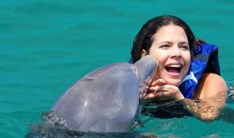 Punta Cana Dolphin Adventure: 40-Minute Interaction - Photo 2 (Gallery view)