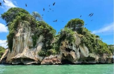 Private: Los Haitises National Park 2-Day Tour with Meals - Photo 2 (Gallery view)
