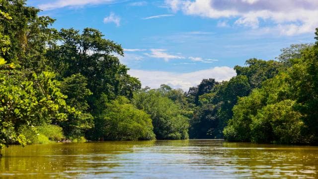 Tortuguero boat tour, Maratopia tropical garden & beach, incl. fruit - Dominican Republic