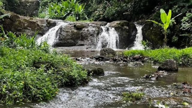 Waterfall with coffee, pineapple + coconut - Photo 2 (Gallery view)