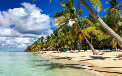 Santo Domingo: Saona Island Day Trip with Lunch and Drinks - Photo 4 (Gallery view)
