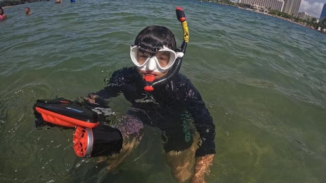 San Juan: Tryskové šnorchlování s pozorováním mořských želv - Dominican Republic