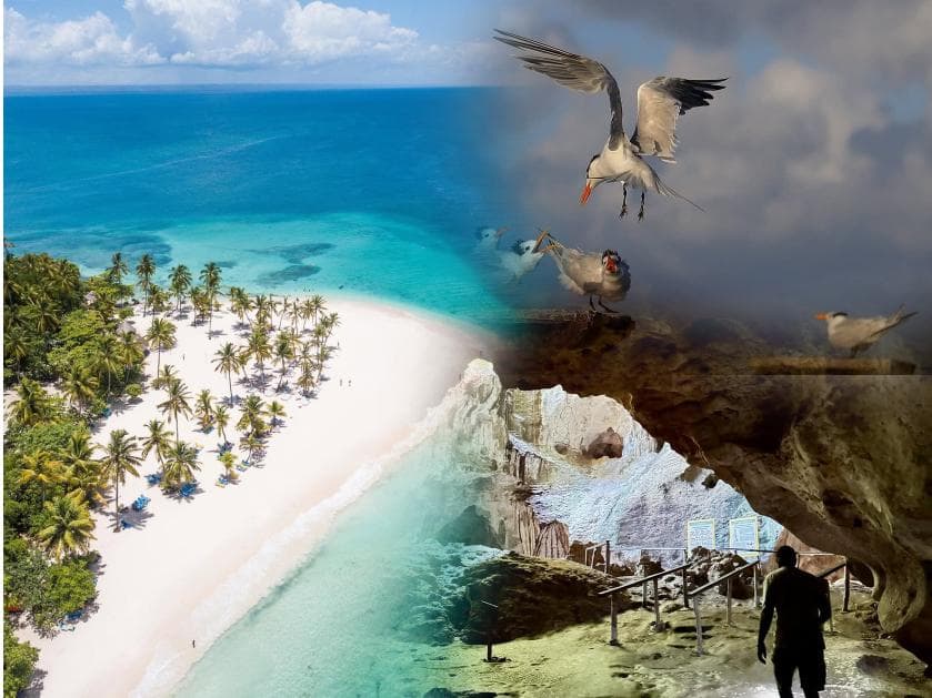 Day Trip to Los Haitises National Park & Cayo Levantado (Bacardi Island) - Photo 4 (Gallery view)