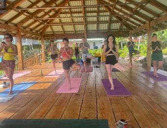 Las Galeras: Morning Yoga or Aerial Yoga at Villa Serena - Photo 4 (Gallery view)