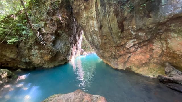 Guanacaste: La Leona Waterfall Hike with Lunch - Photo 5 (Gallery view)