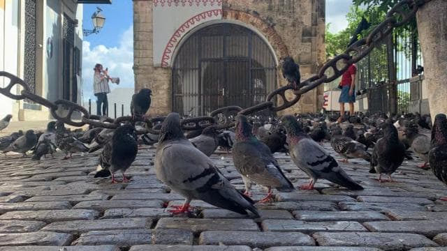 San Juan: Sertifikalı Rehberle Eski San Juan Yürüyüş Turu - Photo 2 (Gallery view)