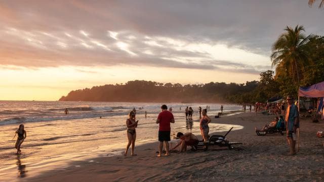 San Jose: Manuel Antonio National Park Day Trip with Lunch - Photo 3 (Gallery view)