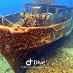 Байяибе: подводное плавание с маской и трубкой – море, парк Котубанама и сеноты - Photo 4 (Gallery view)