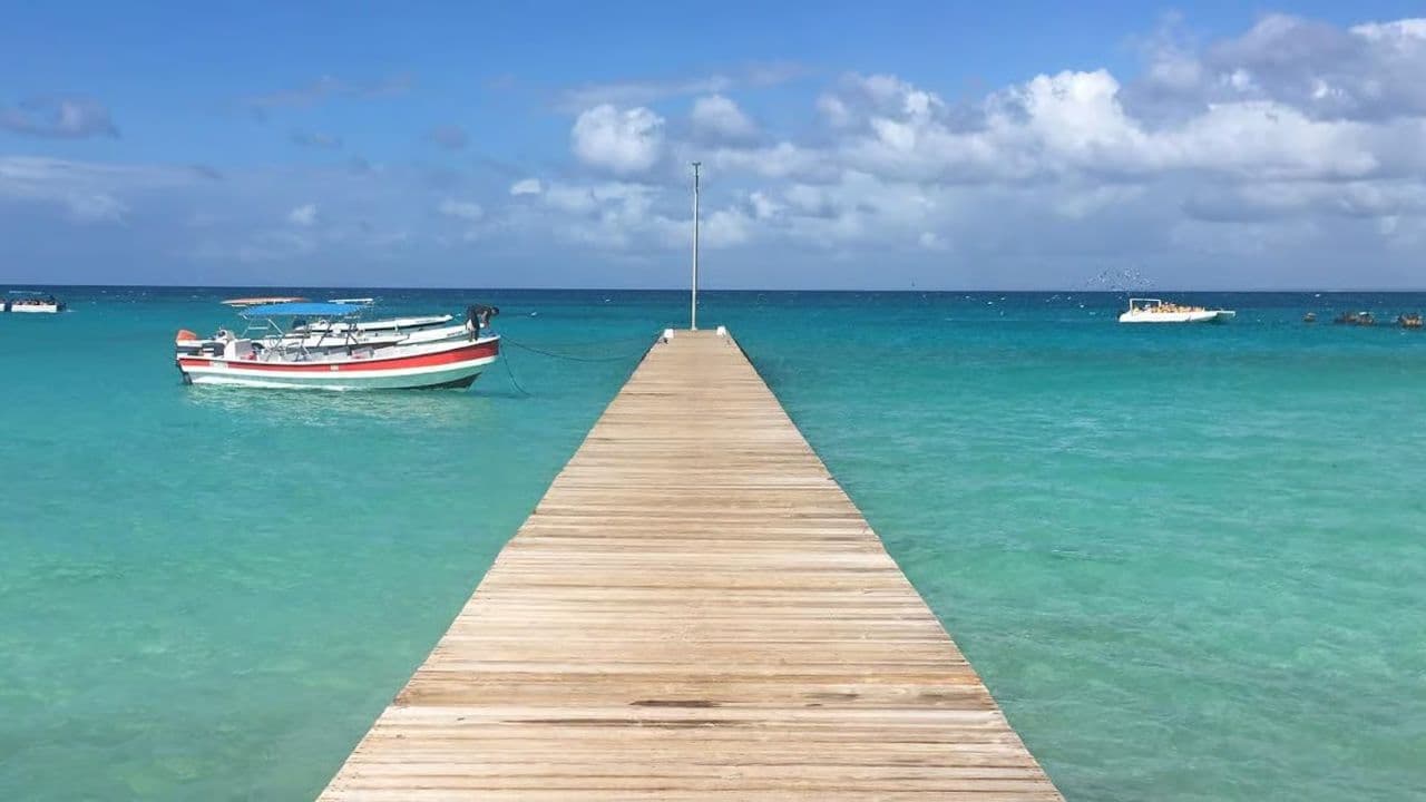 Visite de l'île Saona avec déjeuner au départ de Saint-Domingue - Photo 3 (Gallery view)