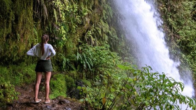 La Paz Waterfall Gardens Day Pass Ticket - Photo 3 (Gallery view)