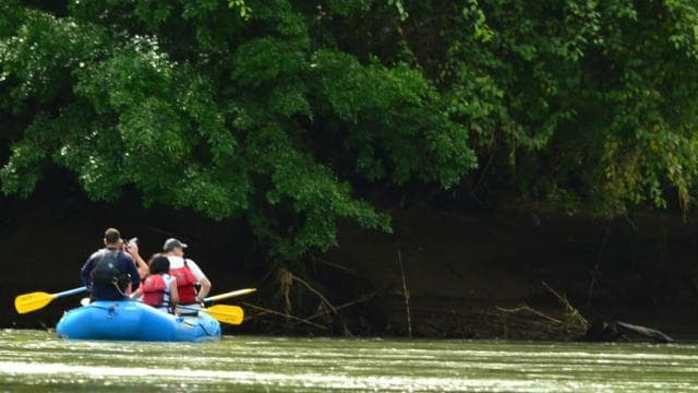 Flotador de safari en la naturaleza nocturna - Photo 2 (Gallery view)