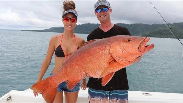 Playa Mantas: Private Mini Fishing Boat Rental - Photo 3 (Gallery view)