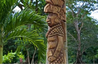 Punta Cana: Ecological Reserve 4x4 Tour with Tastings - Photo 3 (Gallery view)