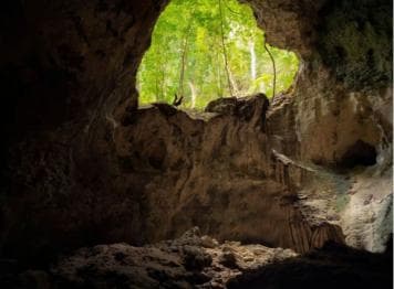 Samana: Los Haitises Kayaks & Caño Hondo Pools Tour w/ Lunch - Samana