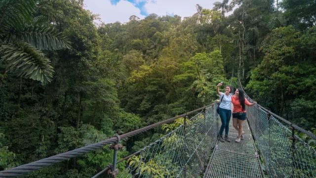 Parque Nacional Arenal: tour en grupo pequeño por puentes colgantes - Photo 5 (Gallery view)
