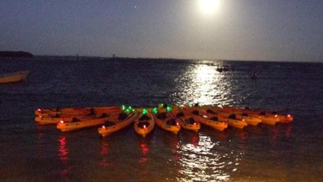 Fajardo: Bioluminescent Lagoon Kayak or Full Moon Kayak Tour - Photo 4 (Gallery view)