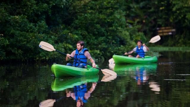 Uvita: Terraba Sierpe Wildlife Mangrove Kayak Tour CostaRica - Photo 3 (Gallery view)