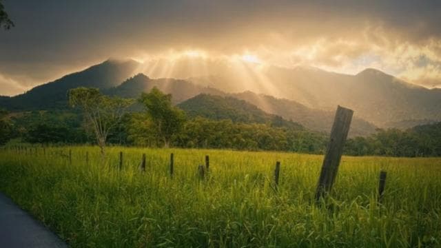 Private El Yunque Adventure - Pickup + Waterslide and Swing - Dominican Republic