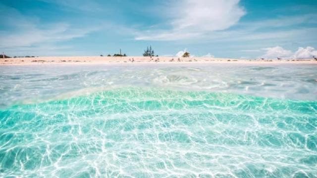 Fajardo Keys: Fajardo Keys: Full Day Private Boat W/Snacks - Photo 3 (Gallery view)
