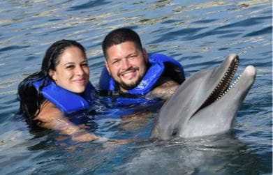 Ocean World Dolphin Swim & Sea Lion Combo from Puerto Plata - Dominican Republic