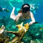 Snorkeling Cayo Levantado ak zile Farola Snorkeling - Photo 4 (Gallery view)