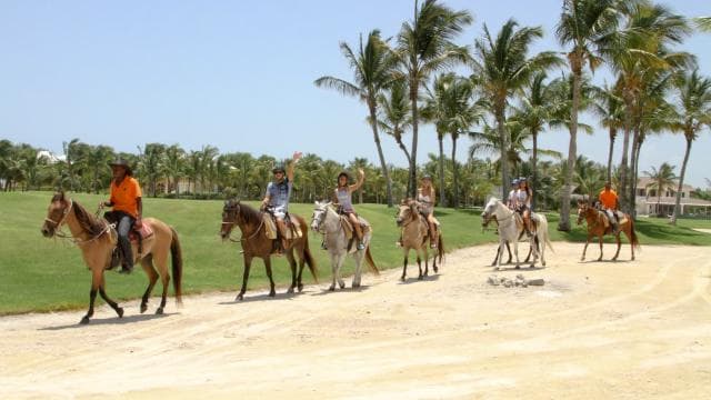 Reittour durch Punta Cana - Photo 4 (Gallery view)