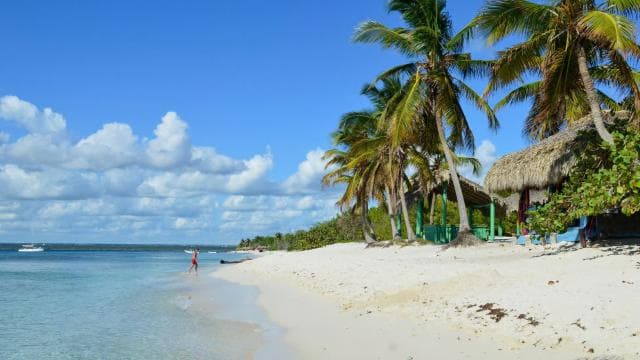 Catalina Island & Altos de Chavón From Punta Cana - Photo 5 (Gallery view)