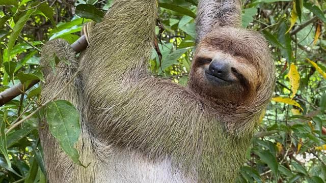 Manuel Antonio National Park Guided Tour – TICKET GUARANTEED - Dominican Republic