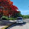 Private Transfer from SDQ to Paradisus Grand Cana - Dominican Republic