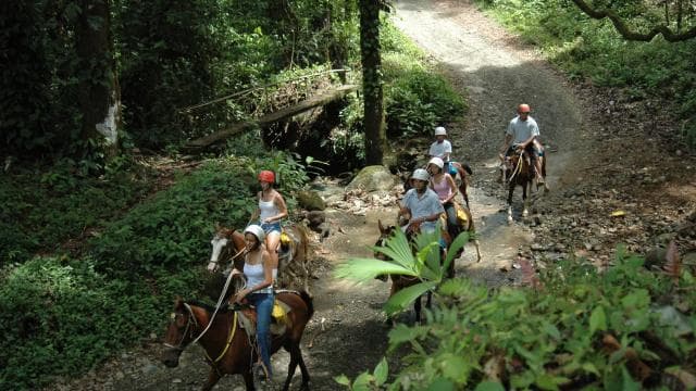 Quepos: Cabalgata a las Cascadas del Chamán - Photo 3 (Gallery view)