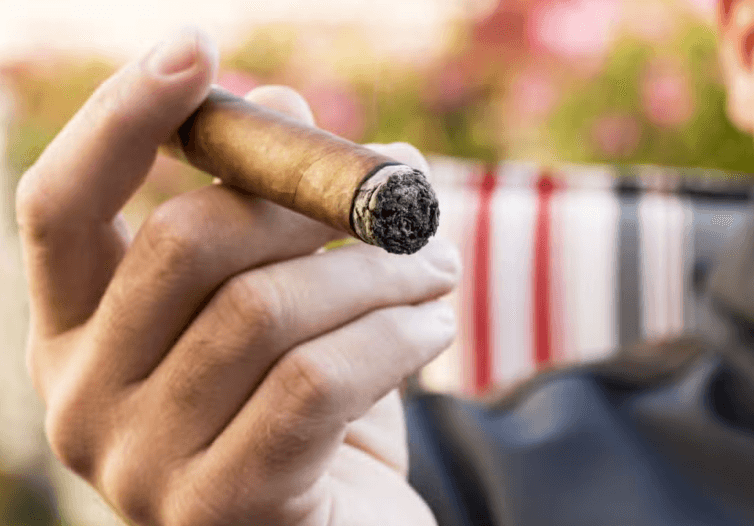 Cuban Cigar Workshop - Photo 2 (Gallery view)