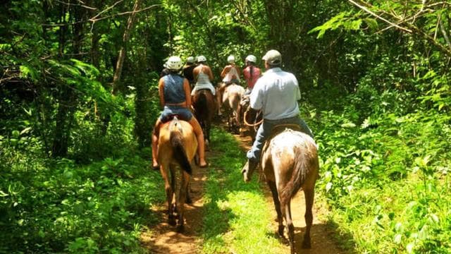 Monteverde: Horseback Riding Tour - Dominican Republic