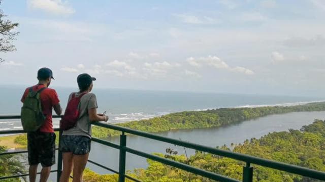 Tortuguero: Hike the Cerro Tortuguero Trail - Photo 4 (Gallery view)