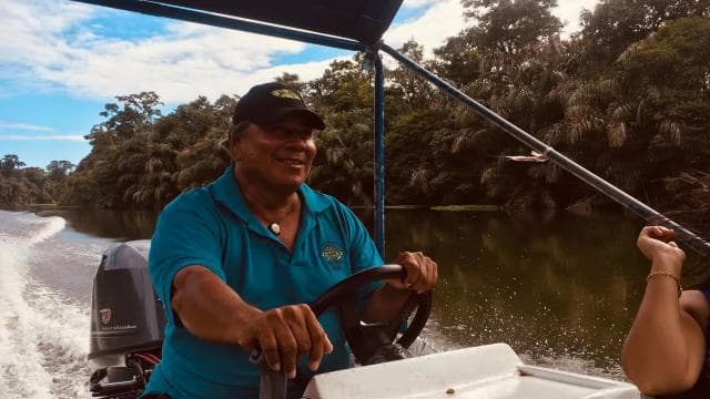 Tortuguero Canal Tour with history from Limon - Photo 4 (Gallery view)