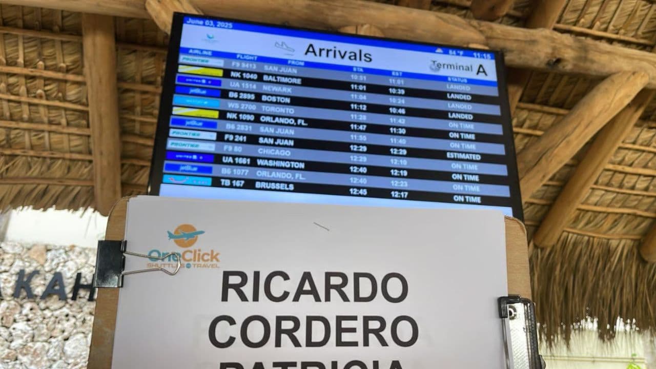 Punta Cana: One-Way Transfer from The Airport - Dominican Republic
