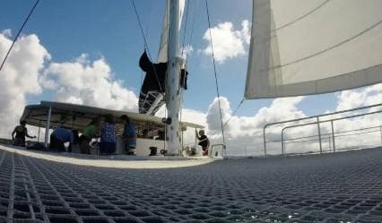 Sosúa: Catamaran Cruise with Snorkeling and Lunch - Photo 4 (Gallery view)