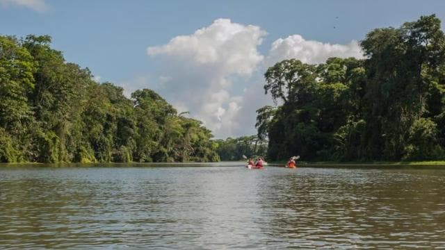 Guided Kayak Tour in Tortuguero National Park ***EXCITING** - Photo 2 (Gallery view)