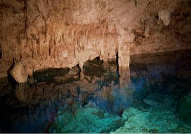 Private: Bayahibe: Jungle Walk and Cenote Snorkeling Tour - Photo 5 (Gallery view)